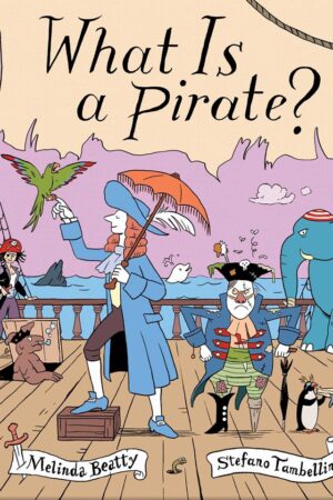 What Is a Pirate?