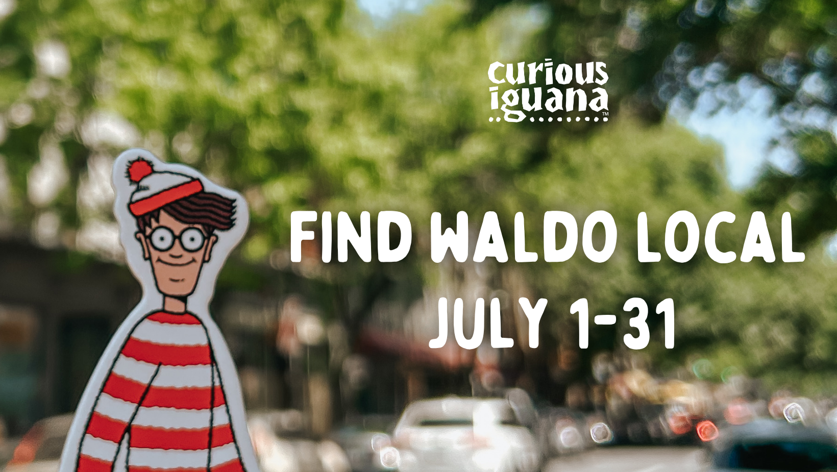 Find Waldo Local